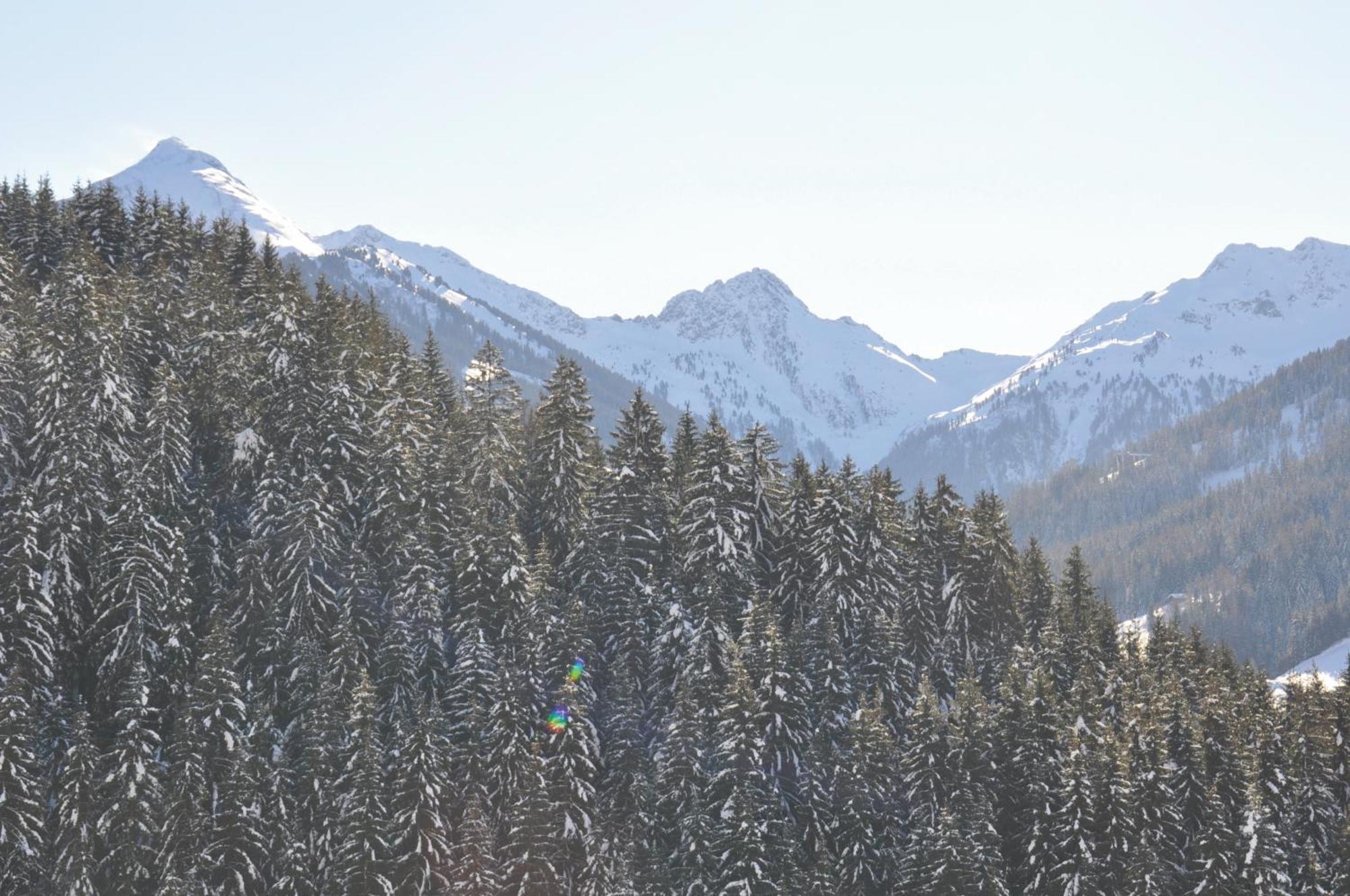 Hotel Alphof Alpbach Εξωτερικό φωτογραφία